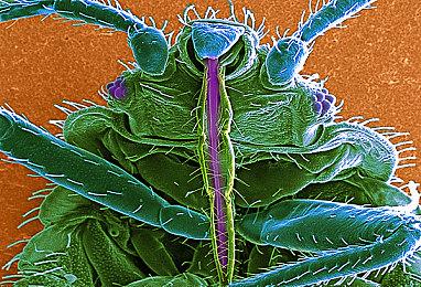 Bilibili World 2025完美收官！bilibili游戏携7款精品独立游戏闪亮登场！